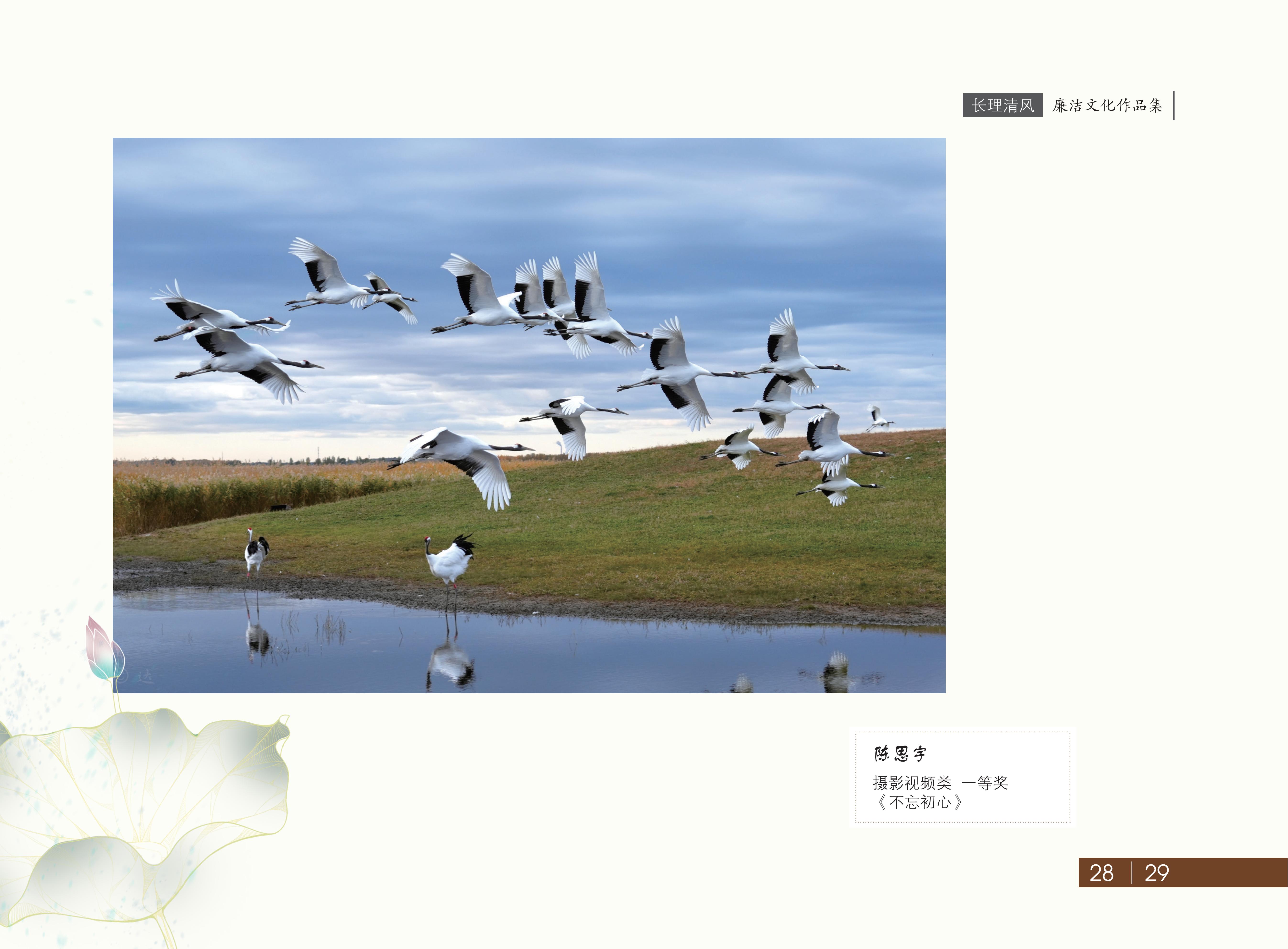 作品展(3)_30.jpg